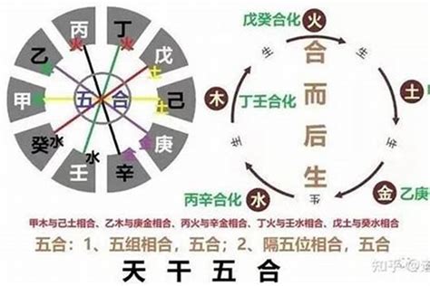 天干地支合沖|八字解析：天干地支相衝，地支相合、三合、六合與地。